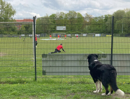 Ein Hund hätte dem Spiel gutgetan